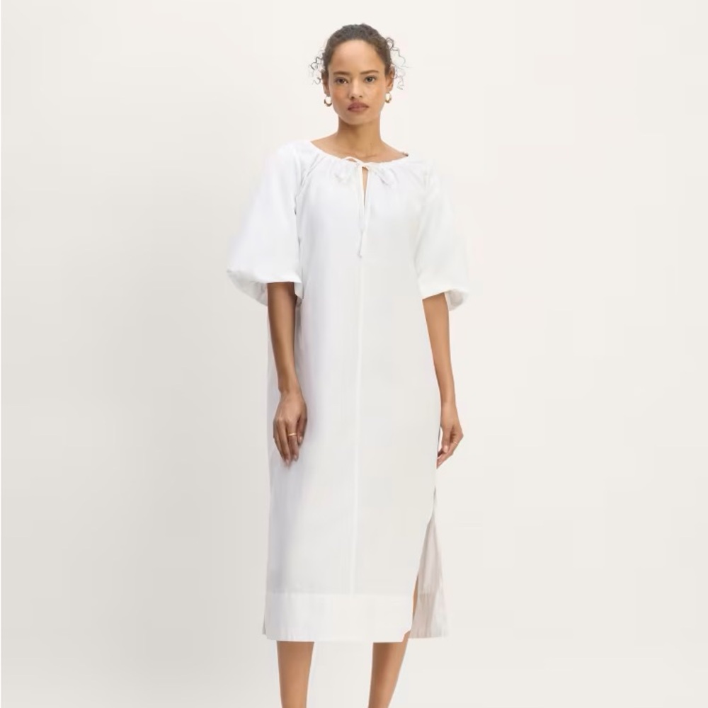 NWT Everlane dress